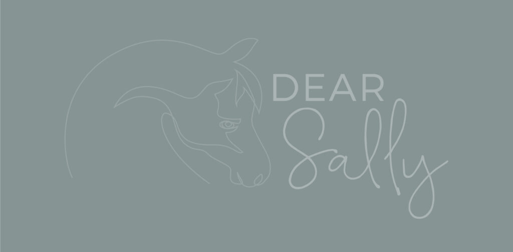 Dear Sally - Dragging or Leading