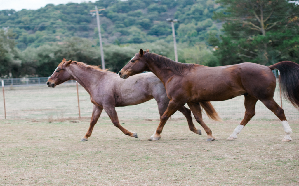 Reclaiming Leadership: A Crucible for Women - Beth Killough