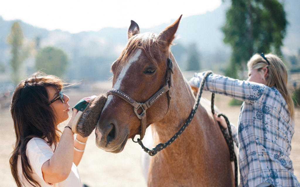 Learning to Continually Shift - Humanly Possible with Bryan Kramer featuring Beth Killough