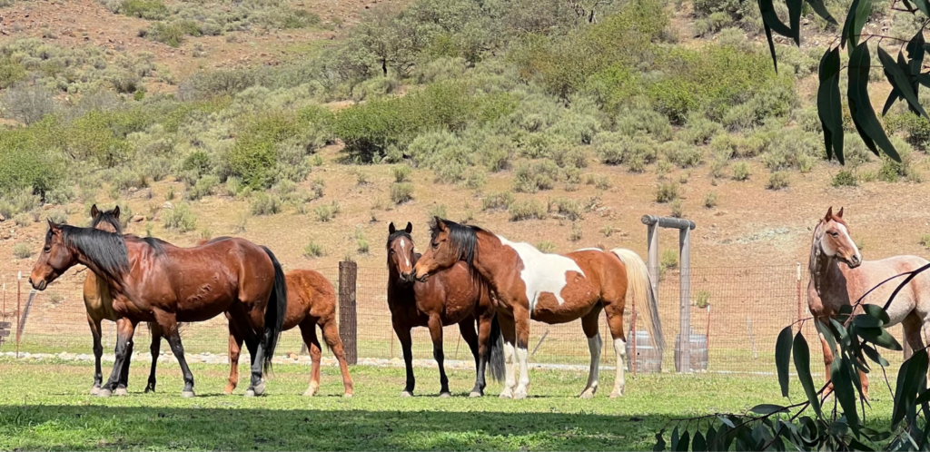 Our Mental Health Moment - Beth Anstandig