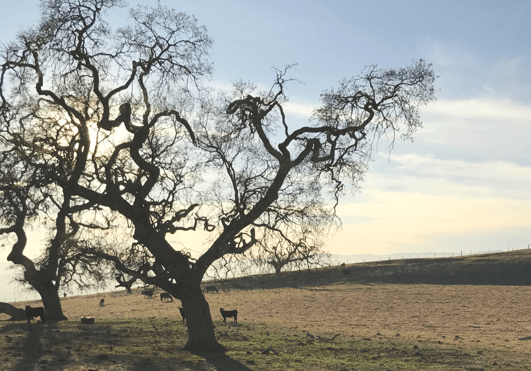 blog-value-of-rest-and-space