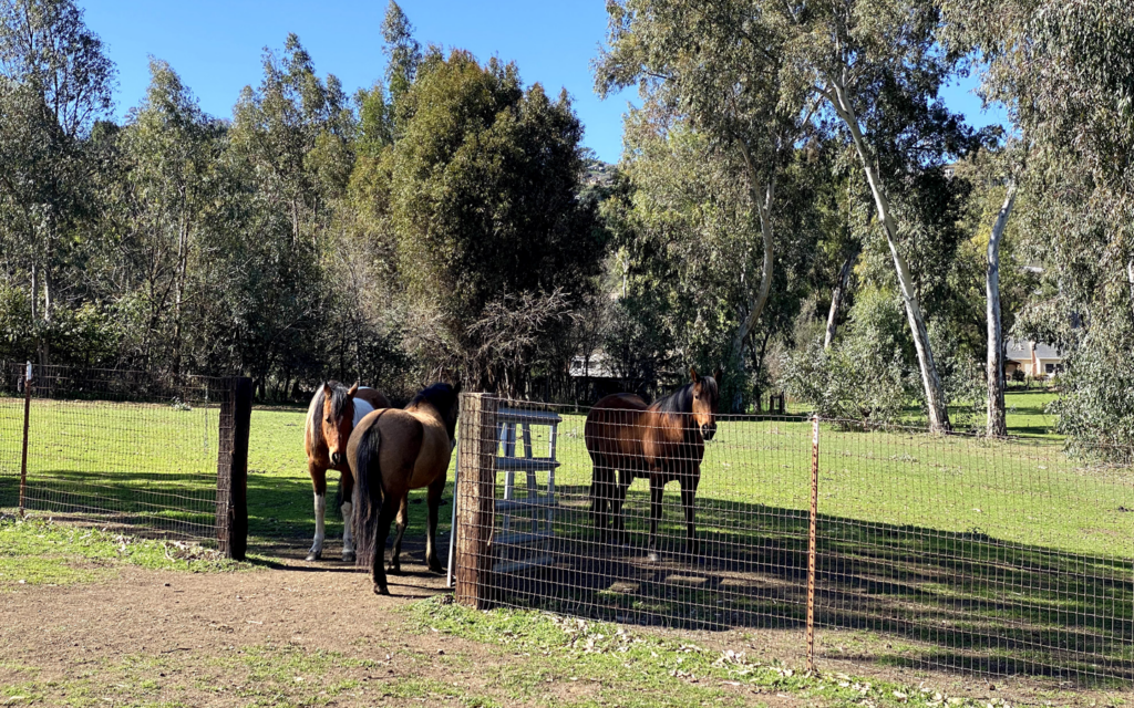 Broadening the Concept of Mindfulness with the Four Channels of Natural Leadership Awareness - Beth Killough