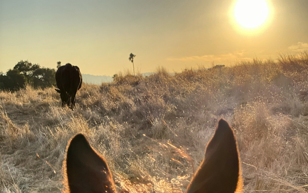 The Nature of Closure - Beth Killough